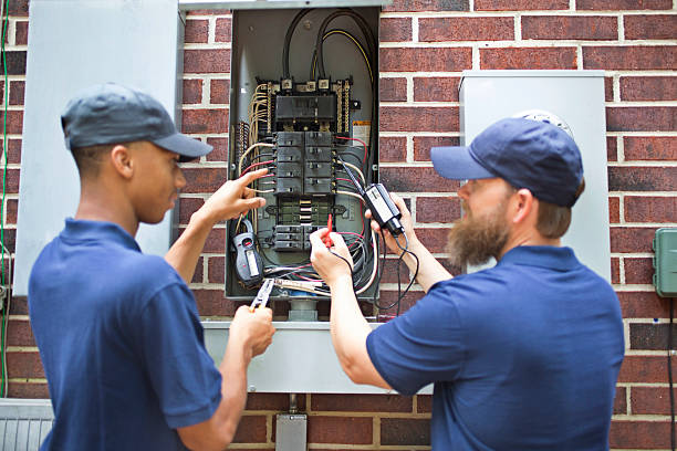 Best Electrical Panel Upgrades  in Carson City, MI